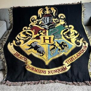 Warner Bros. Multicolor Woven Blanket